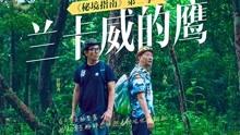 全民烧脑3去广告版