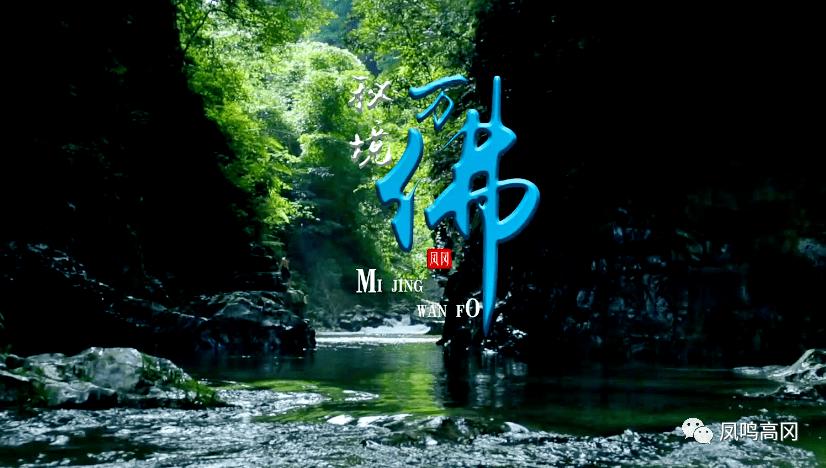 雷竞技比分