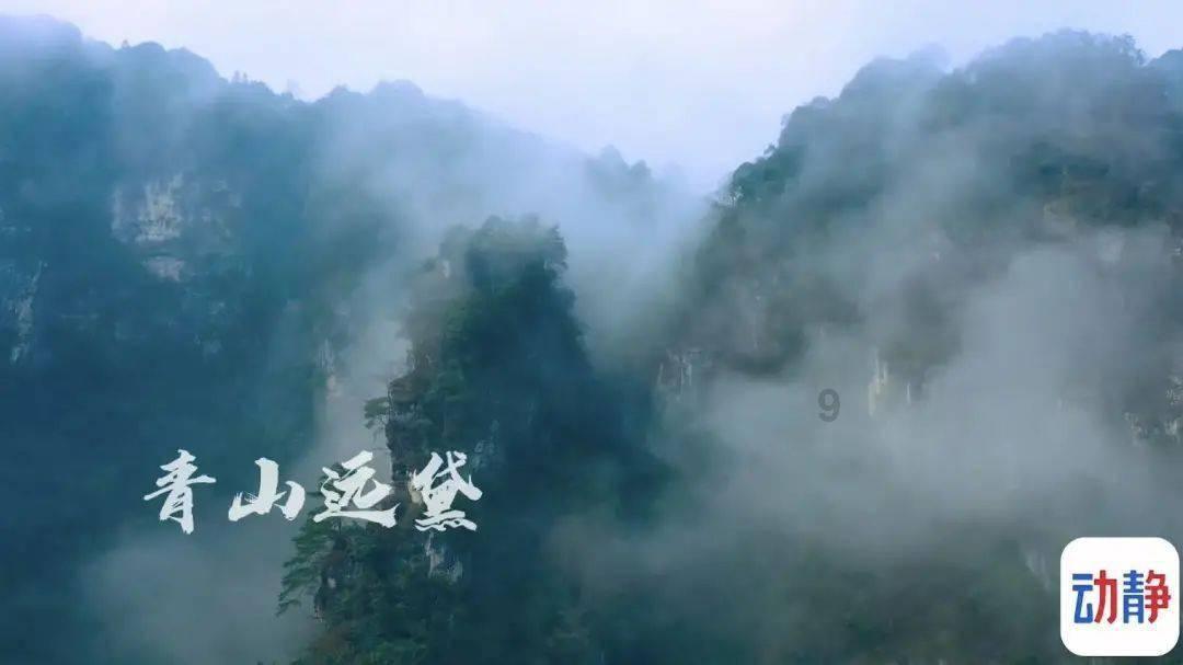 创作猫